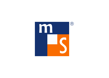 MS Logo Fenster Krokos Berlin